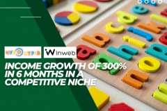 PPC case for Chudo Ostrov toy store chain